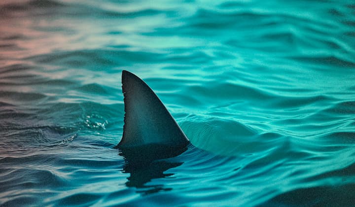 剖析 REMCOS RAT：深入分析广泛传播的 2024 恶意软件，第二部分