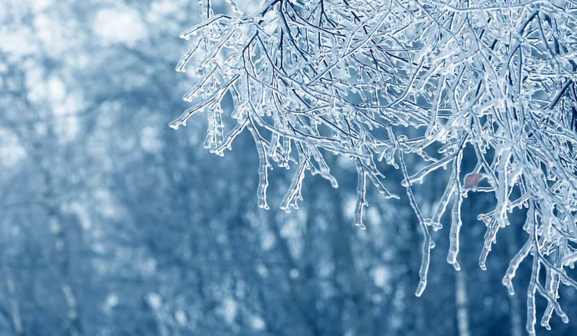 ICEDID 永久冻土融化摘要