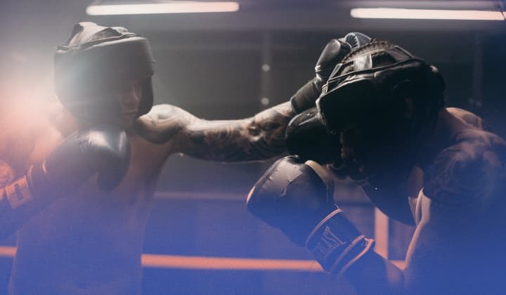 Operation Blutender Bär