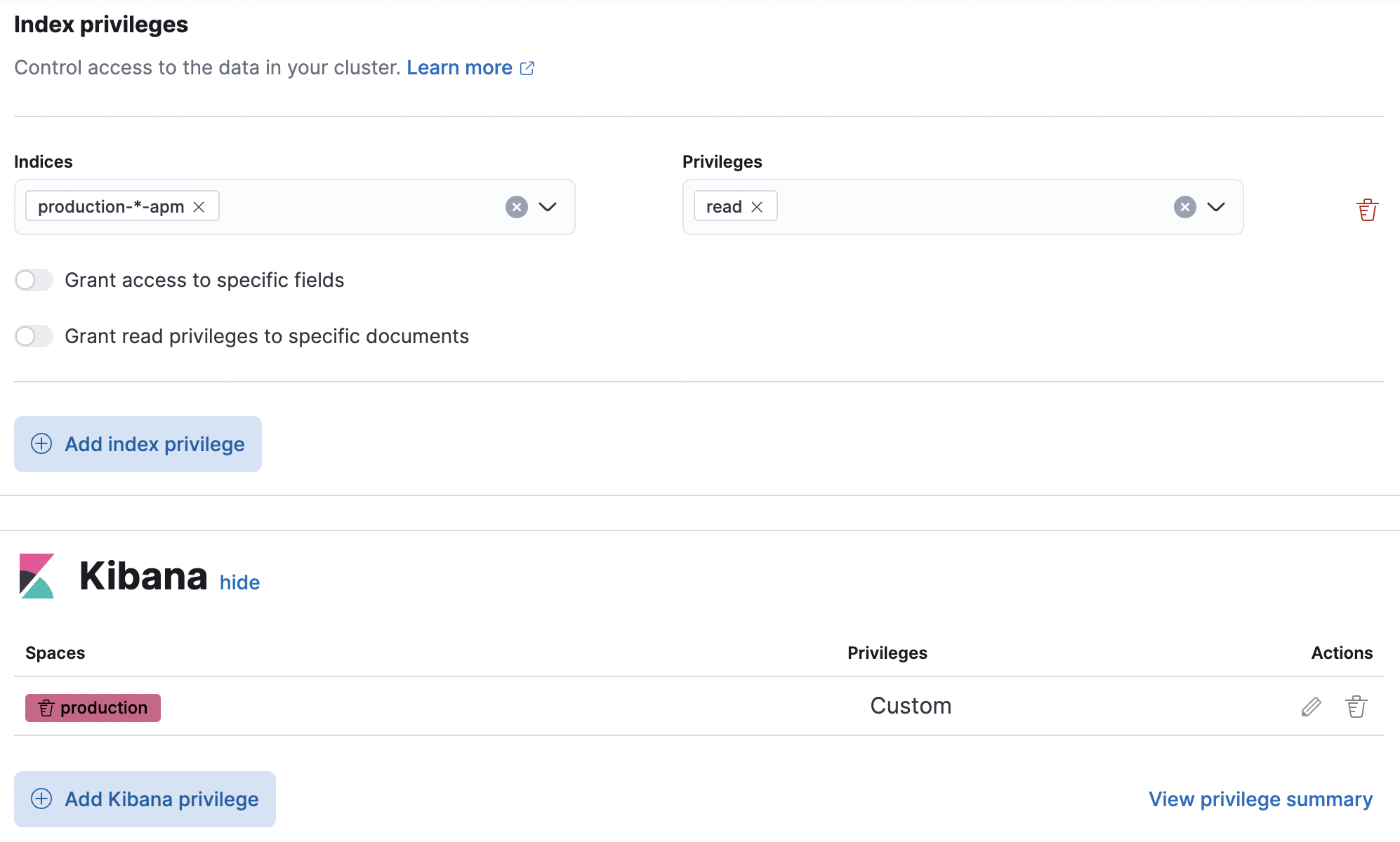 APM role config example APM role config example