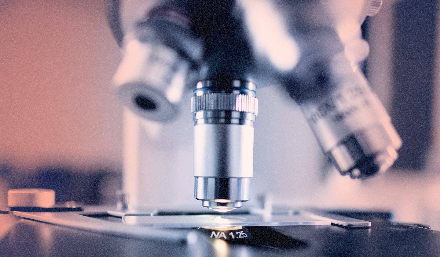 Por dentro do plano da Microsoft para acabar com o PPLFault