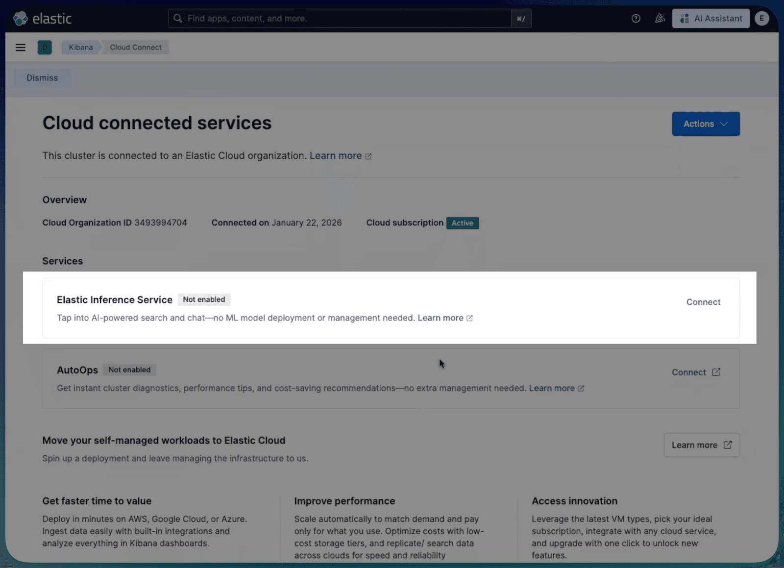 Enable Elastic Inference Service (EIS)
