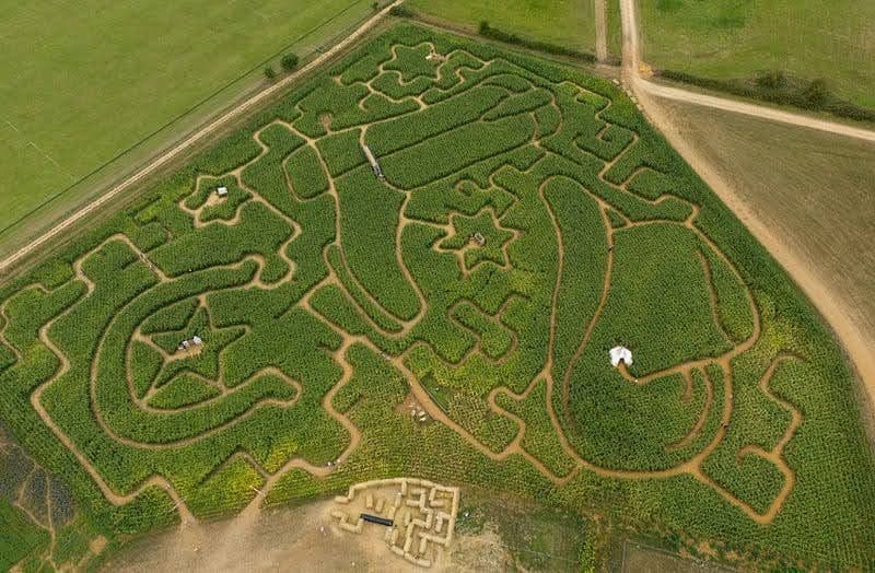 Compound words in search